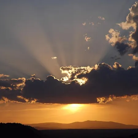 El Canonigo De تيرويل